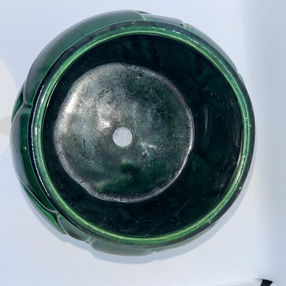 Turtle Shell Plant Pottery - Picture 5 of 7